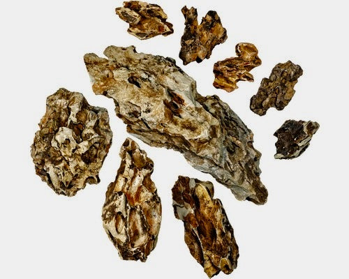 Dragon Stone Box 60l