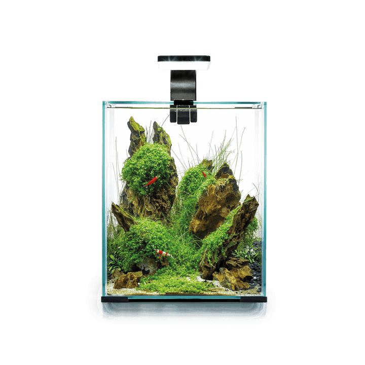 Aquael Shrimp Set Day&amp;Night 30, black