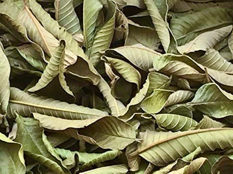 guava leaves