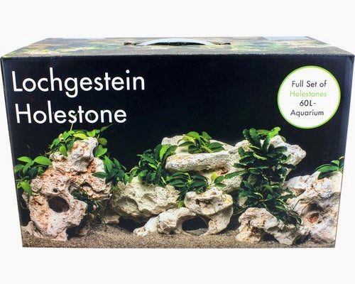 holestone