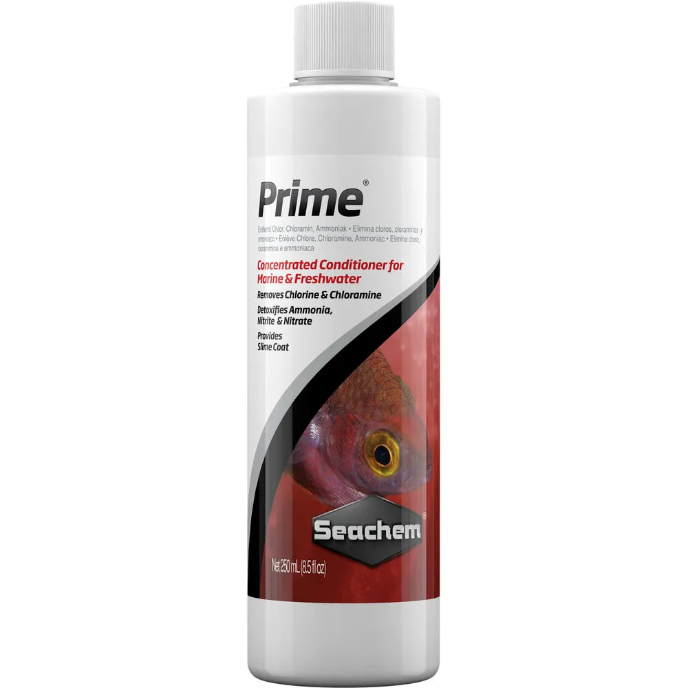 sachem prime