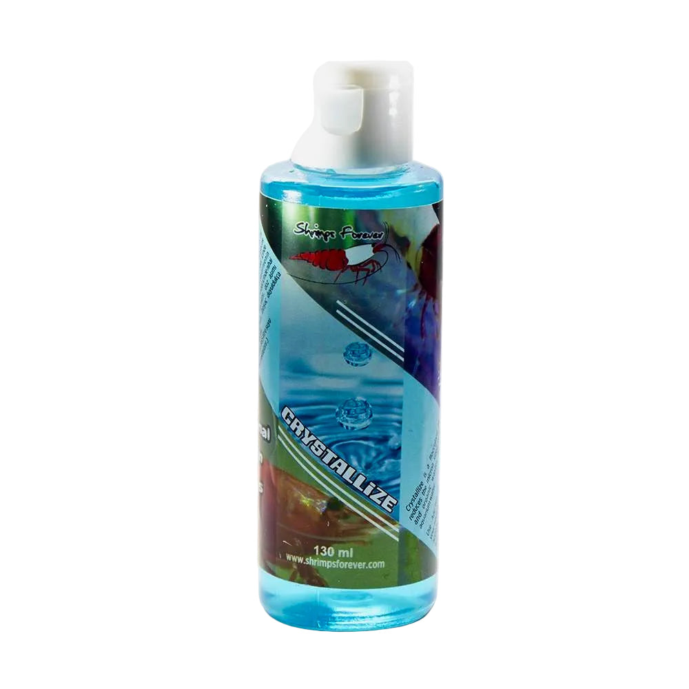 Shrimps Forever Crystal Clear Water